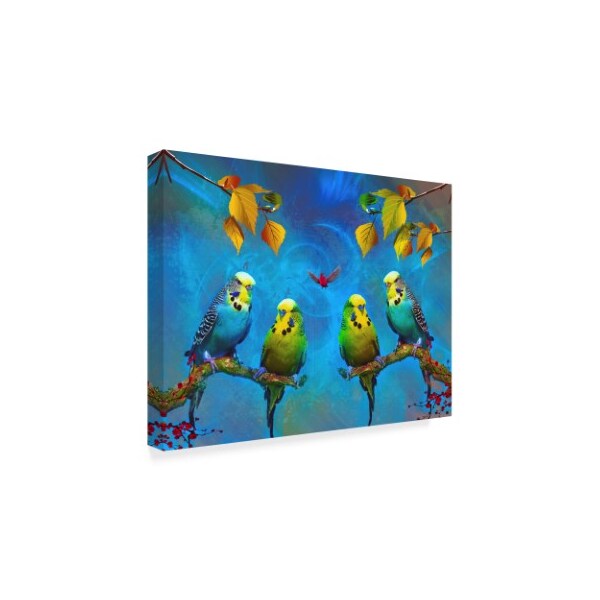 Ata Alishahi 'Color Birds' Canvas Art,35x47